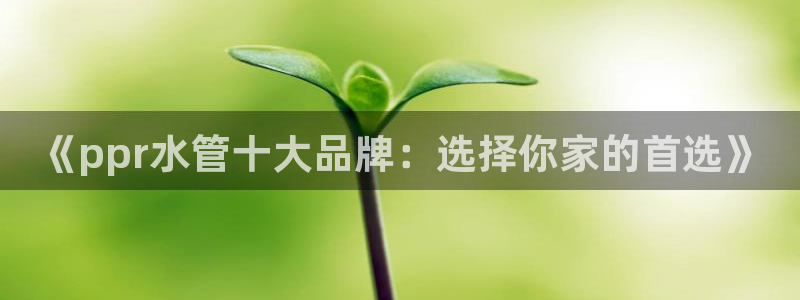 球盟会官网app下载