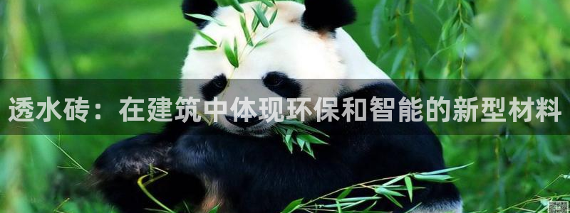 球盟会中国官方网站