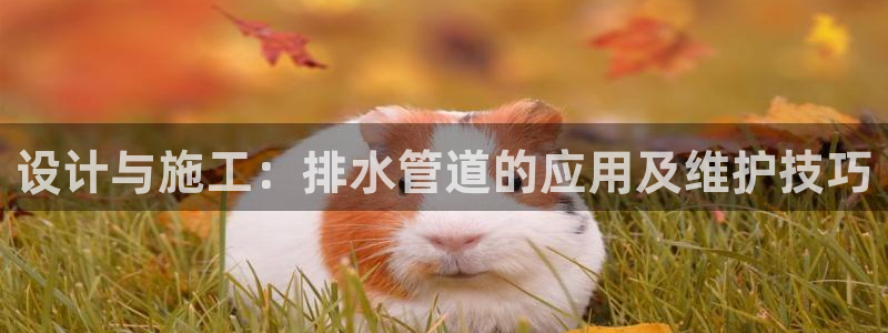 球盟会电子游戏平台