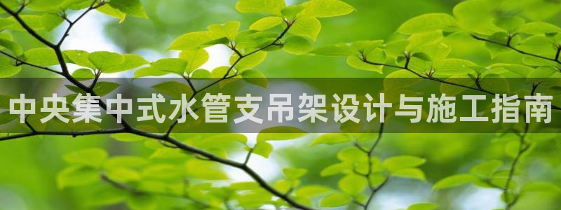 球盟会官方网址入口