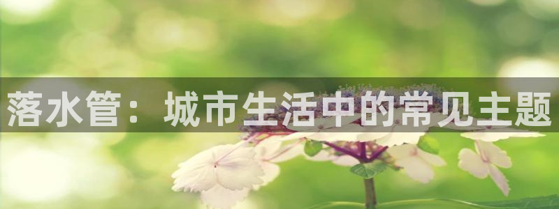 球盟会中国官方网站