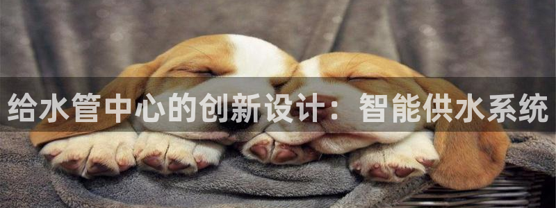 球盟会最新地址备用