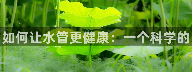 球盟会几点玩合适