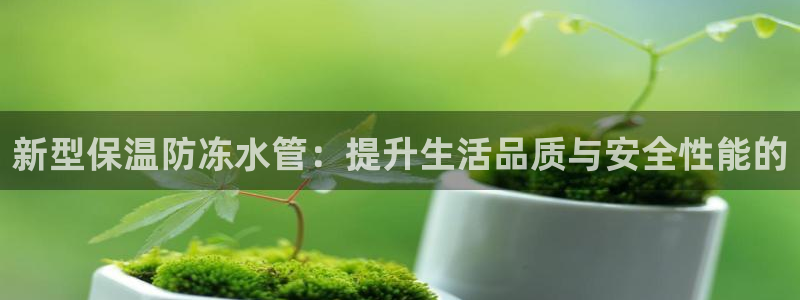 球盟会app最新地址在哪里