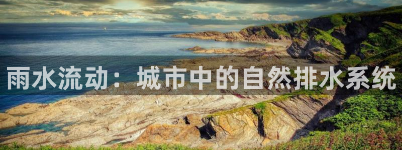 球盟会网页版登陆