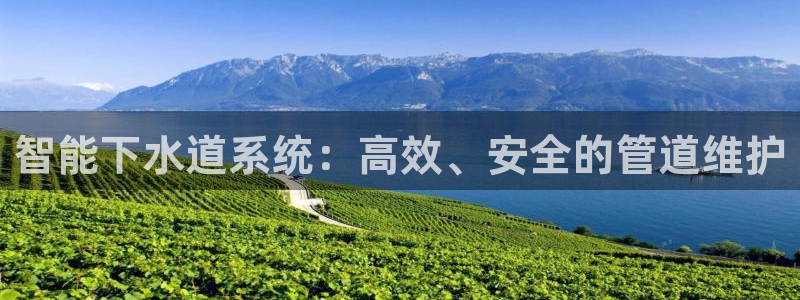 球盟会最新活动