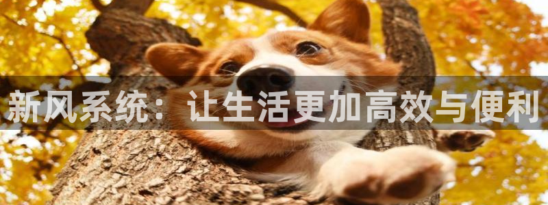 球盟会app最新地址在哪找