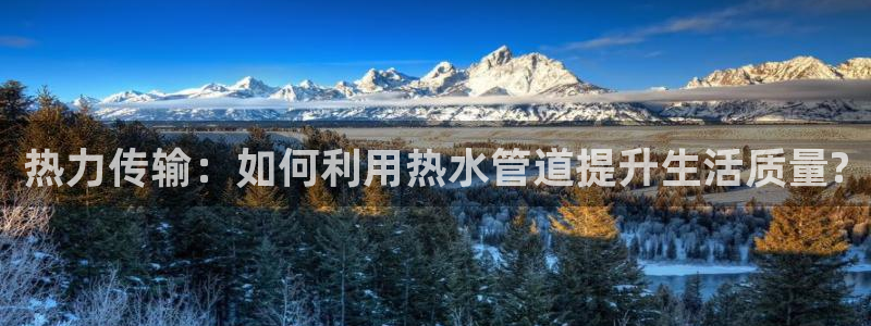 球盟会APP最新地址