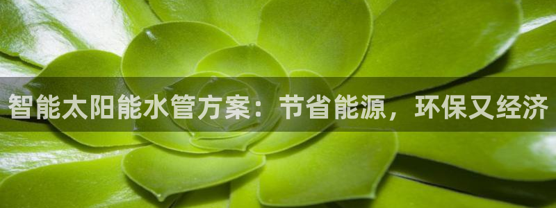 球盟会官方网站app