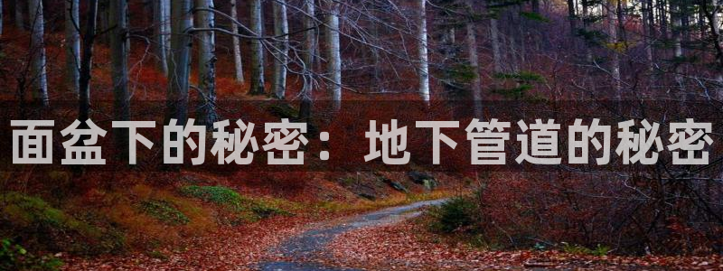 球盟会官方版下载地址