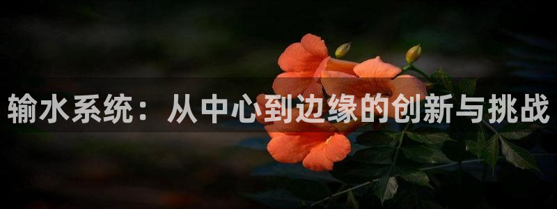 球盟会qmh登录地址