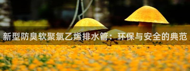 球盟会能退钱吗知乎