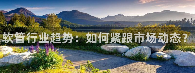 球盟会游戏几点玩合适