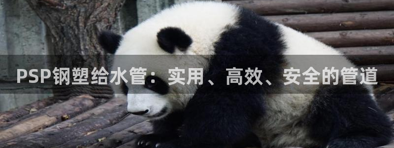 球盟会官方网址入口