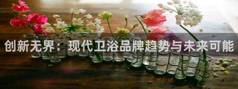 球盟会app网址多少