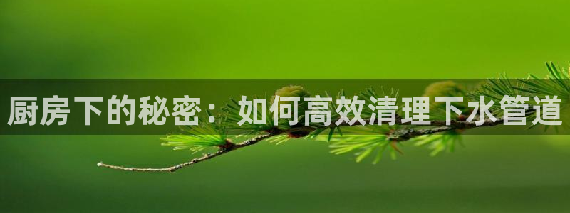 球盟会官方app首页入口