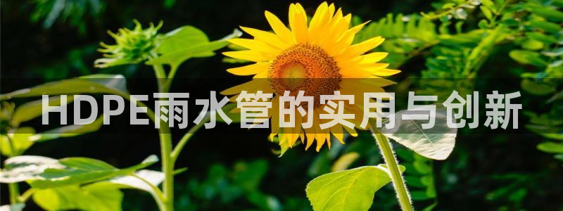 球盟会出款黑了