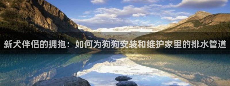 球盟会进不去吗