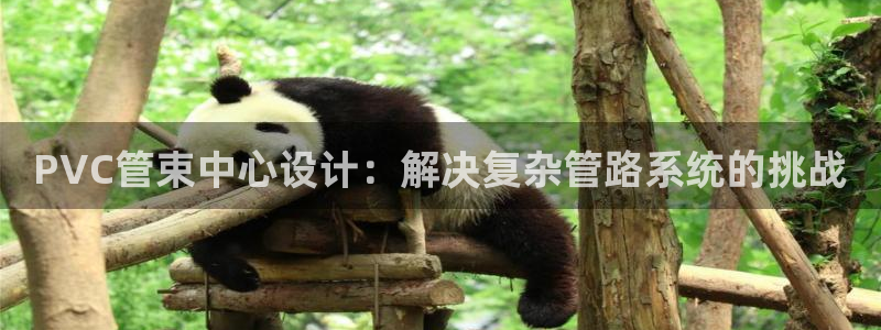 球盟会提款支付宝怎么样