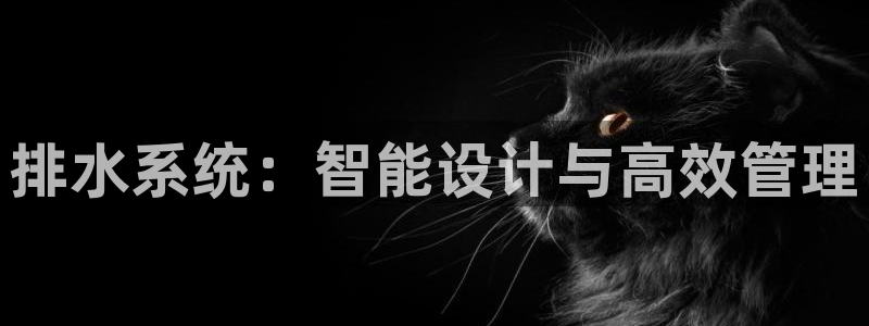 球盟会可以提现么现在