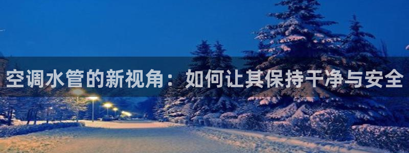 球盟会能提现吗
