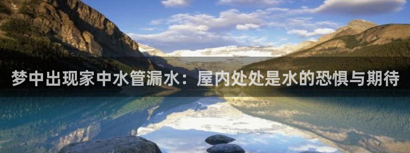 球盟会国际官网