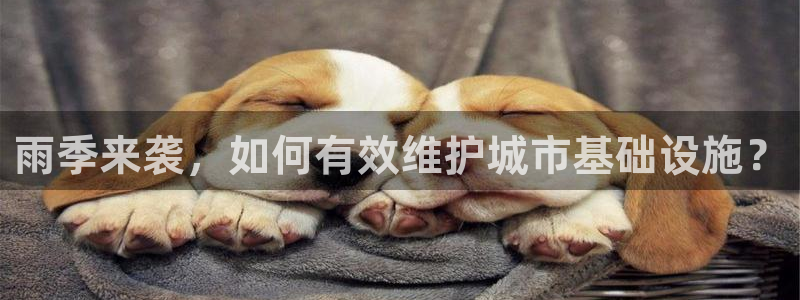 球盟会福利码2023最简单三个步骤