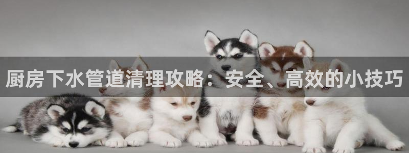 球盟会可以提现么