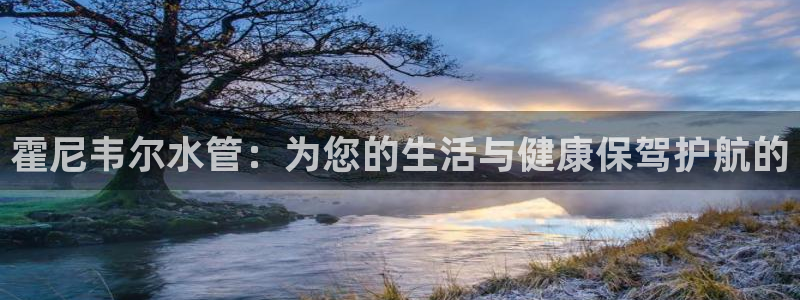 球盟会官方登录平台入口