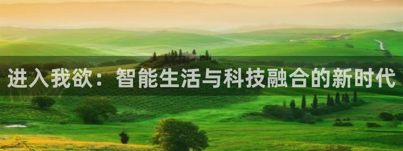 球盟会和中欧合作吗