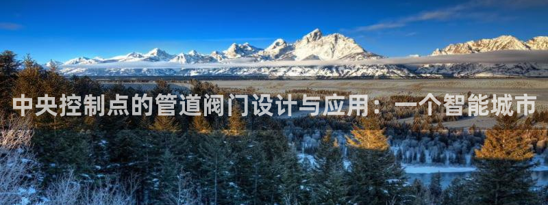 球盟会头号玩家是谁
