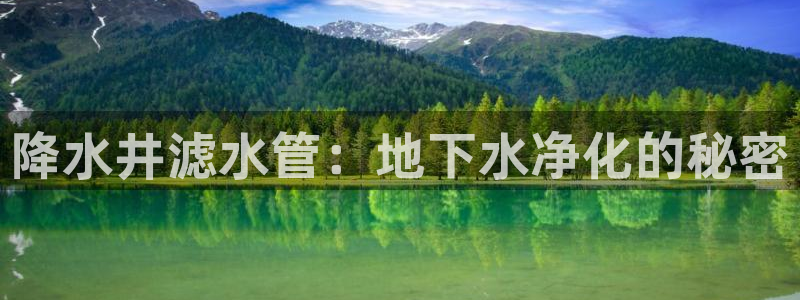 球盟会qmh网页版登录 - qm球盟会官方网站