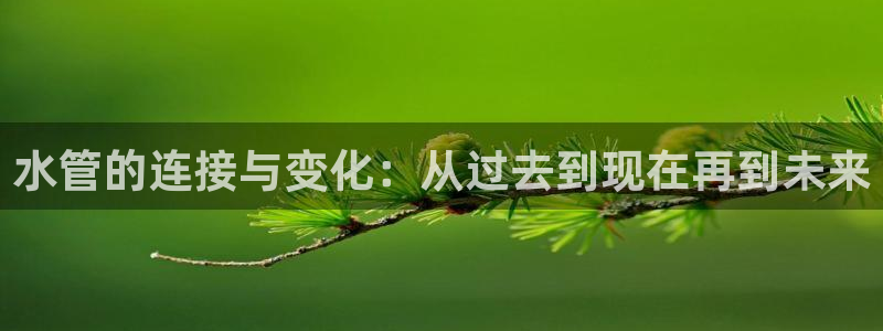 球盟会最新网