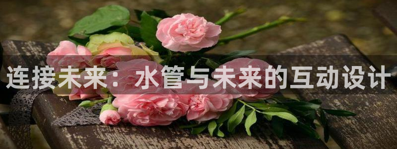 球盟会qmh
